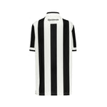Botafogo Heimtrikot 24/25