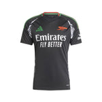 Arsenal Alternative 24/25