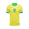 Brasil Heimtrikot 24/25 - Copa América 2024