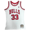 Chicago Bulls 1997-98