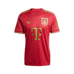 Bayern München 24/25 - 125. Geburtstag