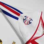 Frankreich Alternative 06/07 - Final der Weltmeisterschaft 2006